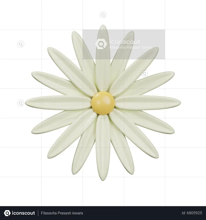 Daisy  3D Icon