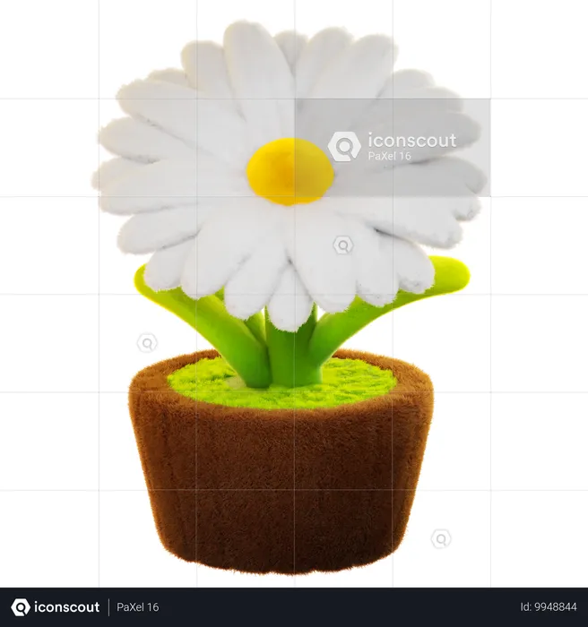 Daisy Flower  3D Icon