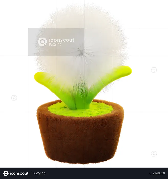 Dandelion Flowers  3D Icon