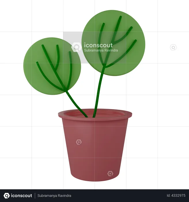 Decorative Plant  3D Illustration