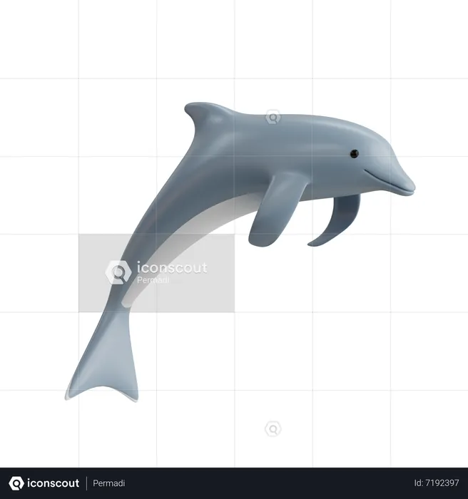 Delfin  3D Icon