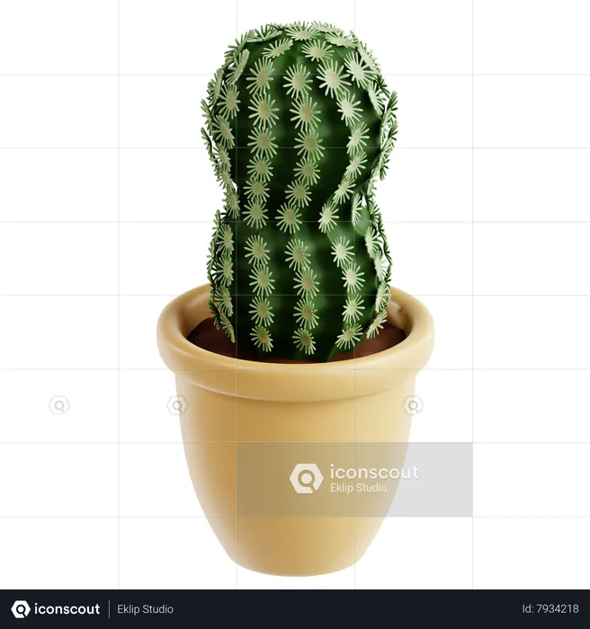 Cactus en dentelle  3D Icon