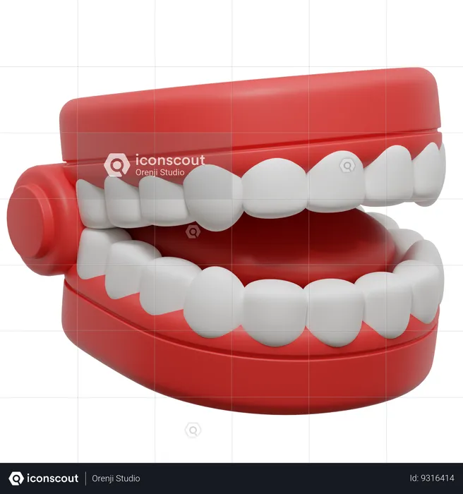 Dentures  3D Icon