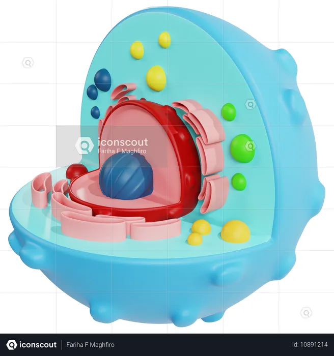 Detailed Animal Cell Model for Biology Education  3D Icon