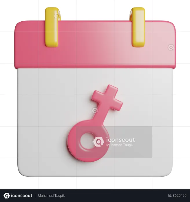 Dia de la mujer  3D Icon