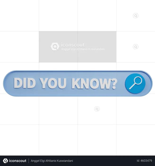 Did You Know Search Bar  3D Illustration