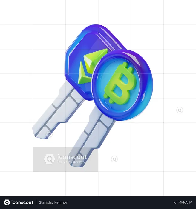 Digital key  3D Icon