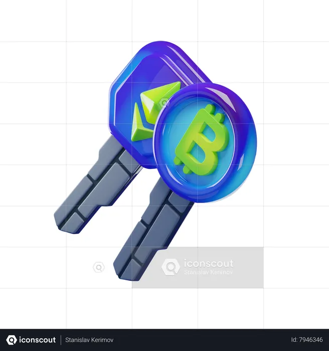 Digital key  3D Icon