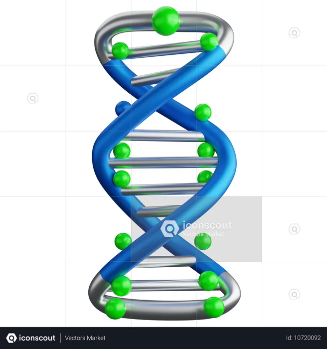 DNA  3D Icon