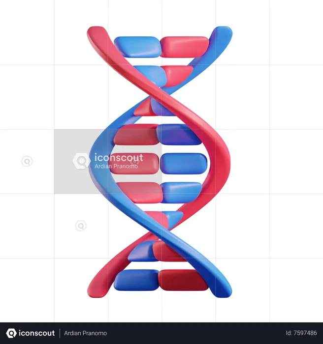 DNA  3D Icon