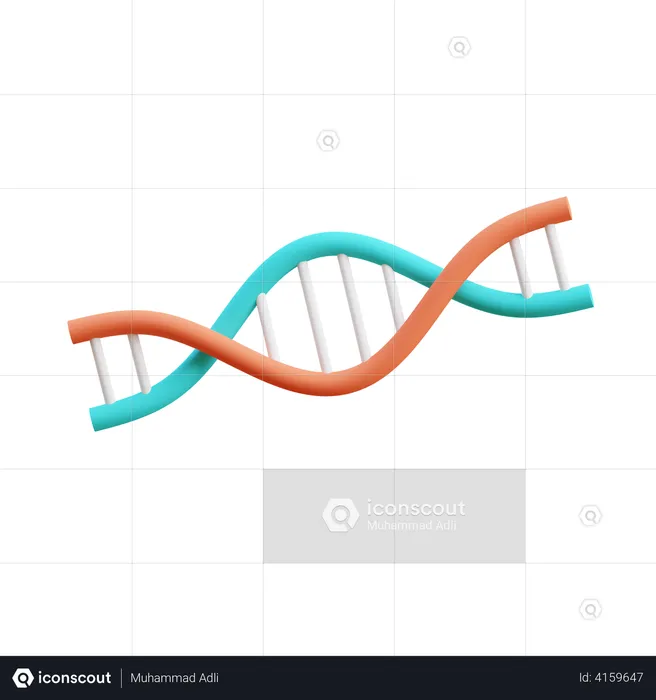 DNA  3D Illustration