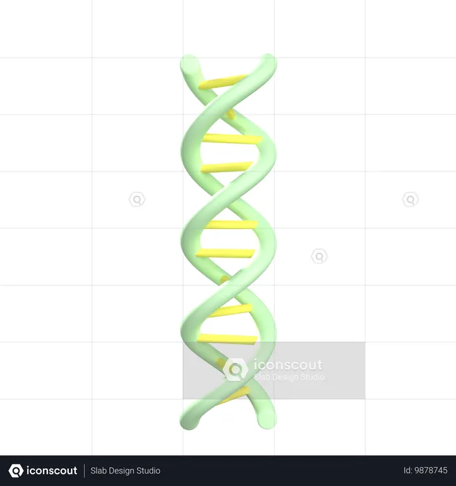 DNA 이중나선  3D Icon