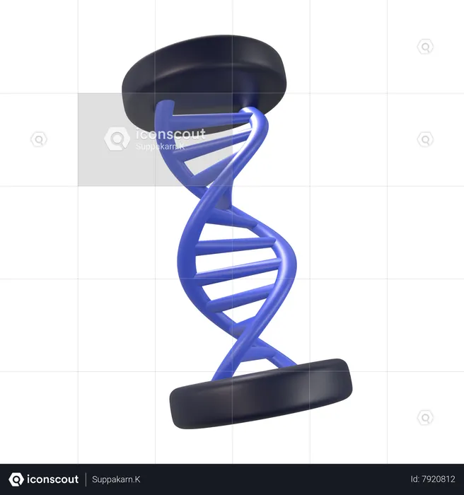 Hélice de DNA  3D Icon