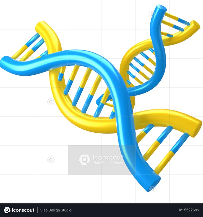 Dna Helix  3D Icon
