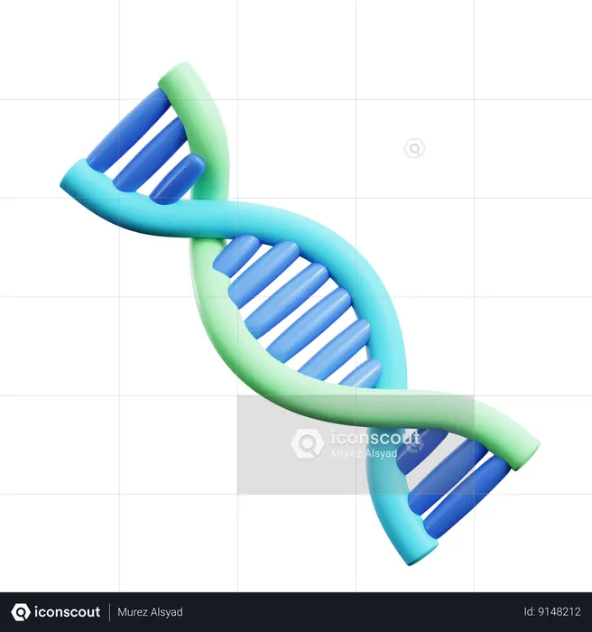 DNA humano  3D Icon