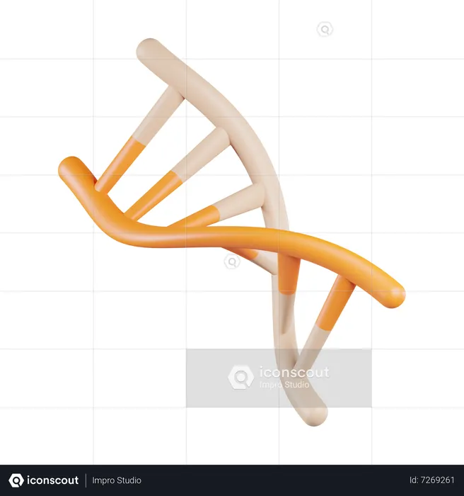 DNA humano  3D Icon