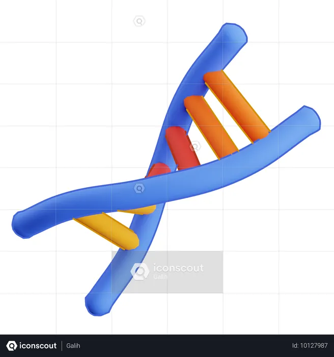 Dna Model  3D Icon