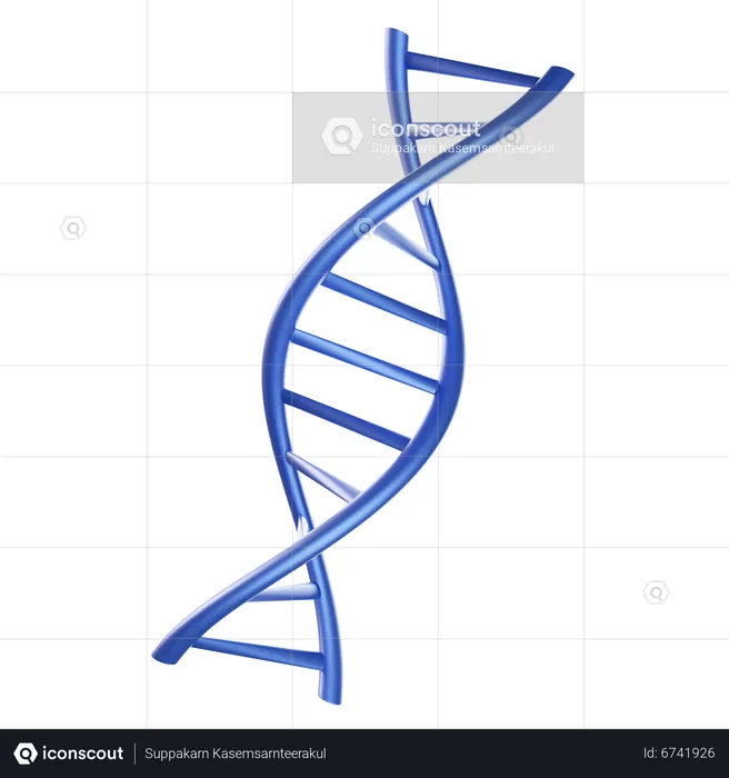 Dna Strand  3D Icon