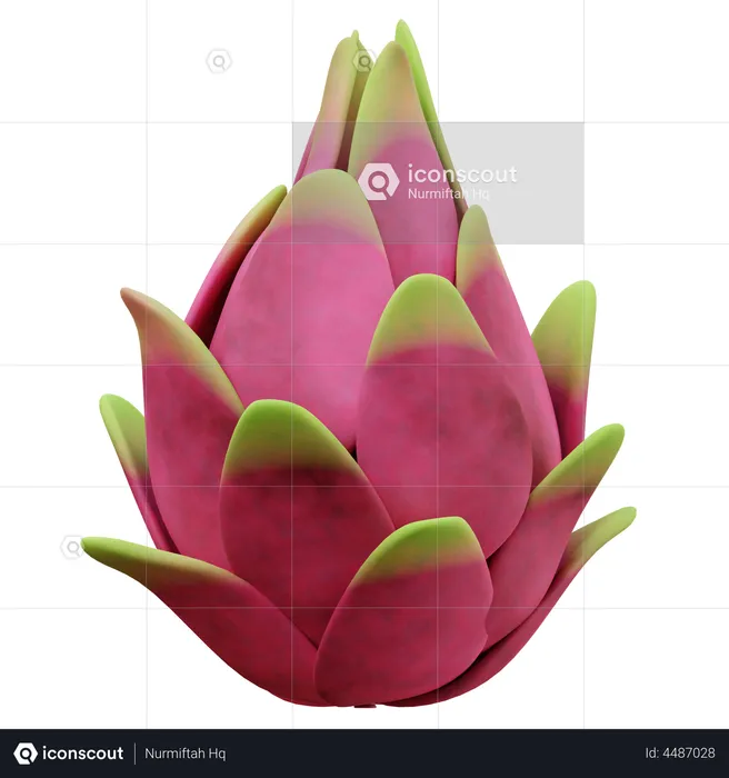 Dragon Fruit  3D Icon