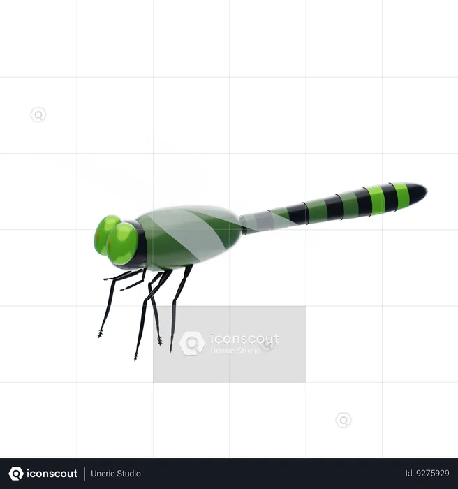 Dragonfly  3D Icon