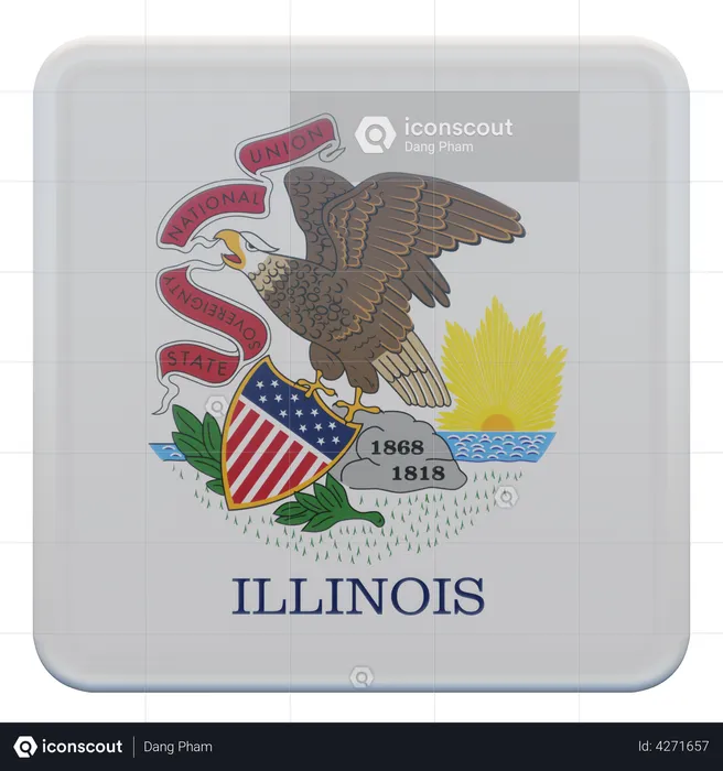 Drapeau de l'Illinois Flag 3D Flag