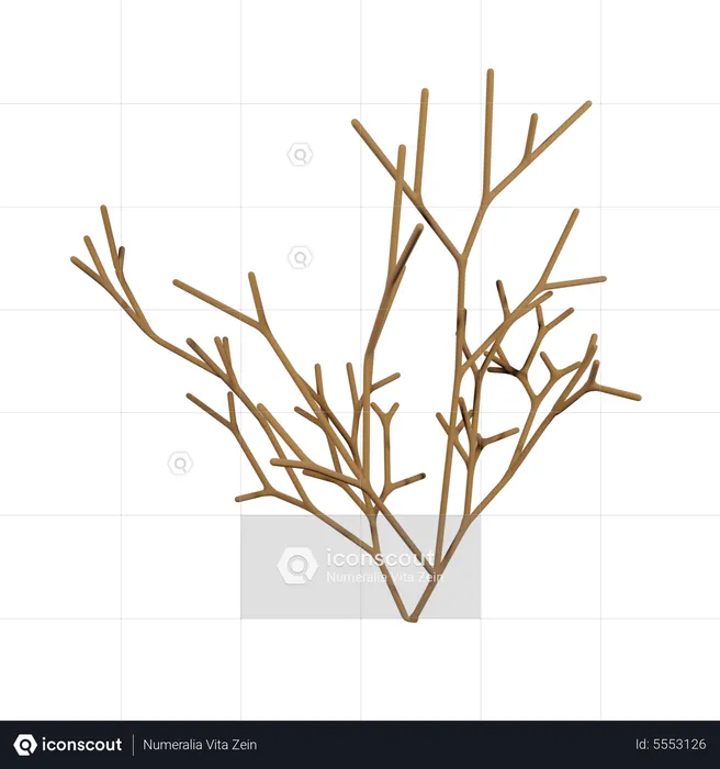 Dry White Bush  3D Icon