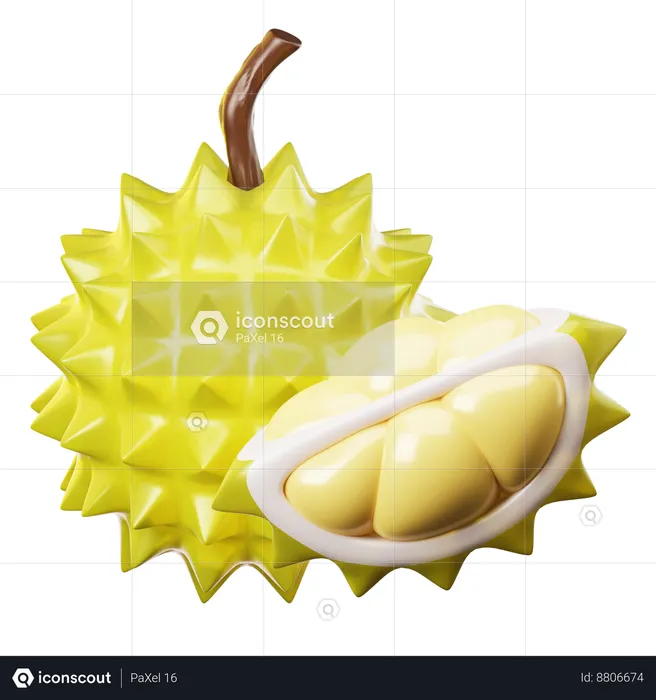 Durian  3D Icon