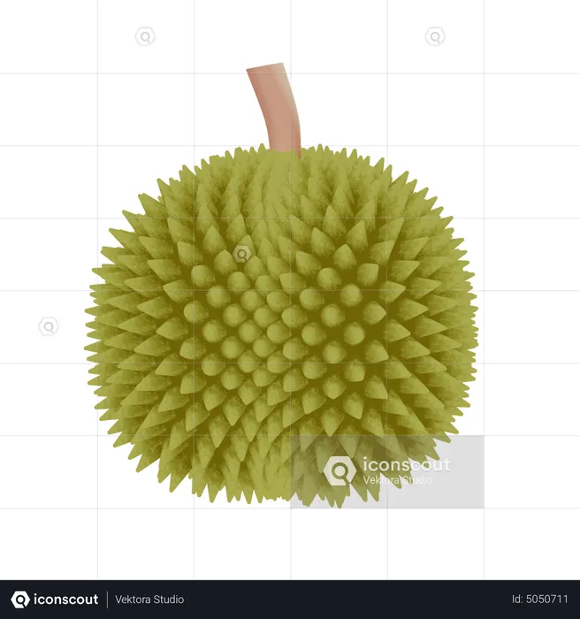 Durian  3D Icon