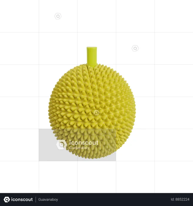 Durian  3D Illustration