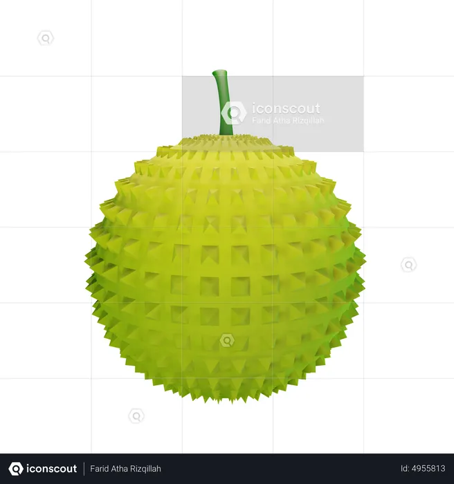 Durian  3D Icon