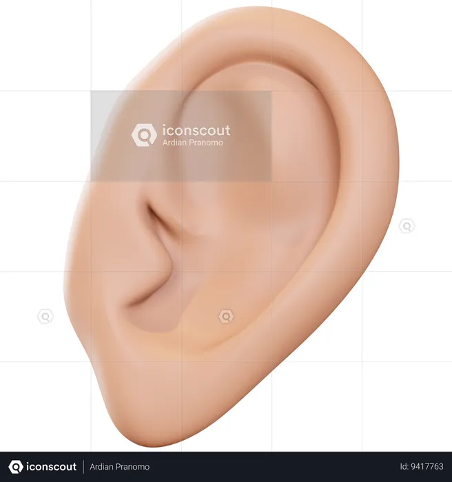 Ear  3D Icon