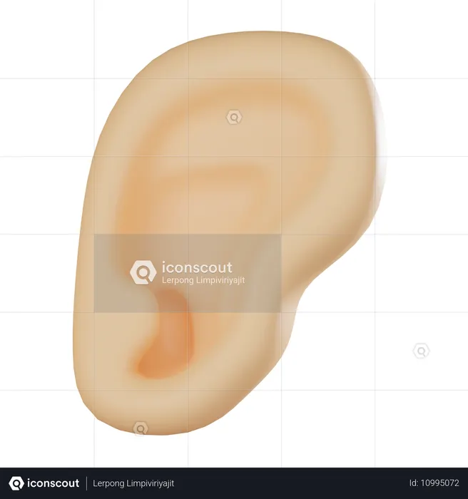 Ear  3D Icon