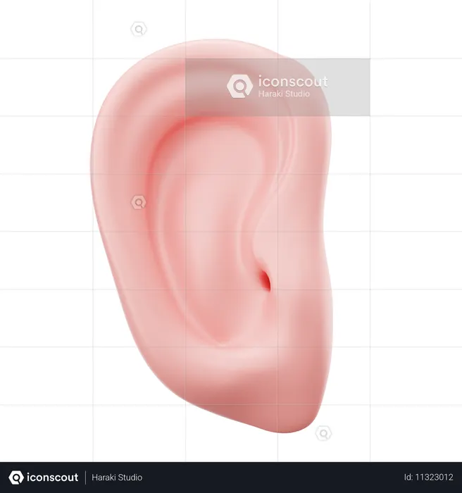 Ear  3D Icon