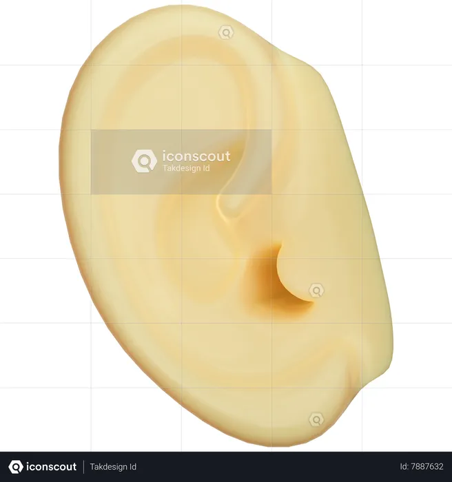Ear  3D Icon