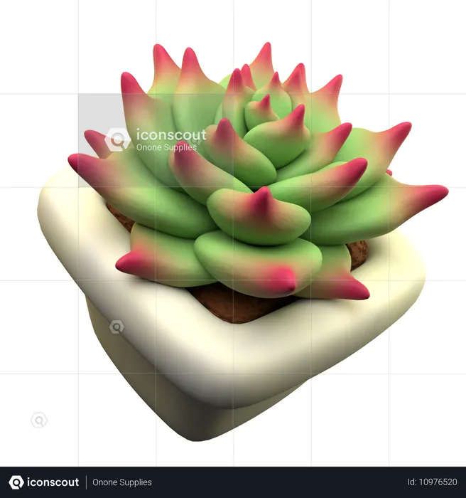 Echeveria agavoides  3D Icon