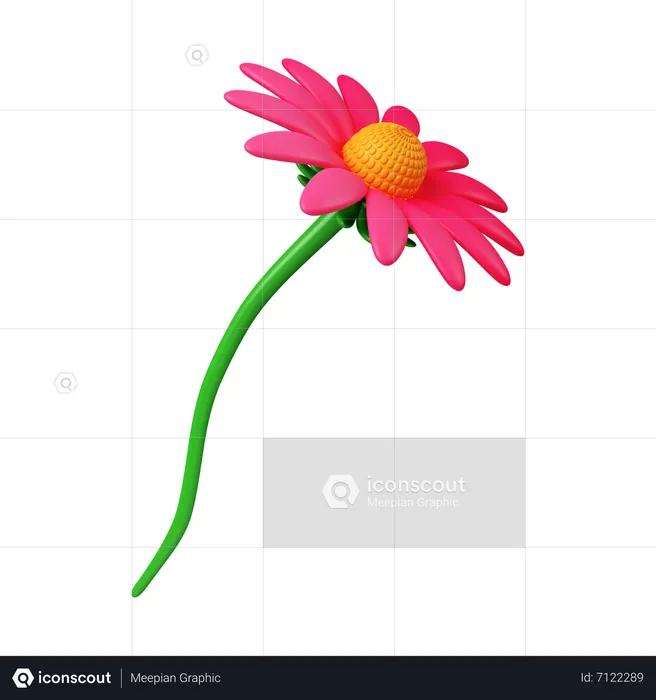 Echinacea-Blüte  3D Icon