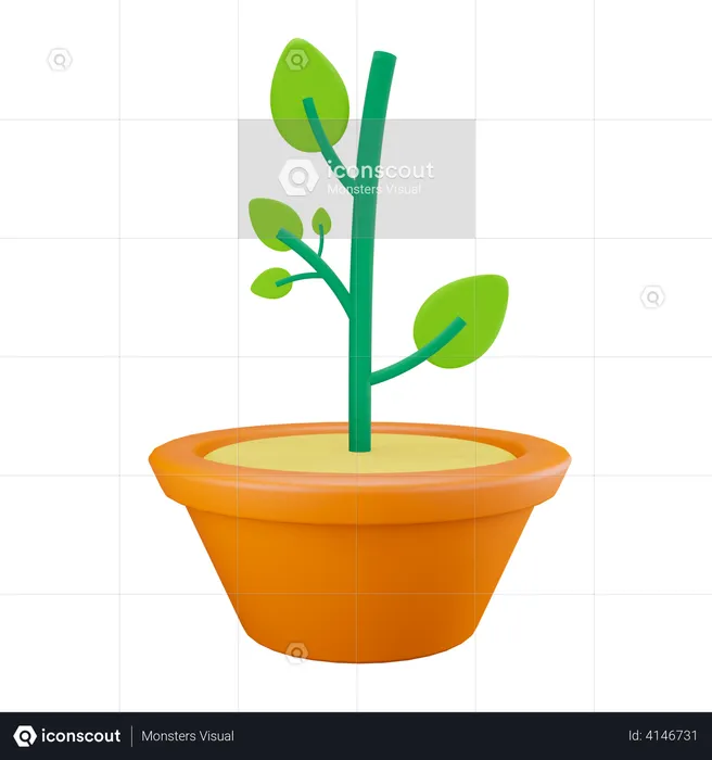 Eco Plant  3D Illustration