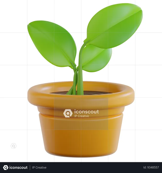 Planta ecológica  3D Icon