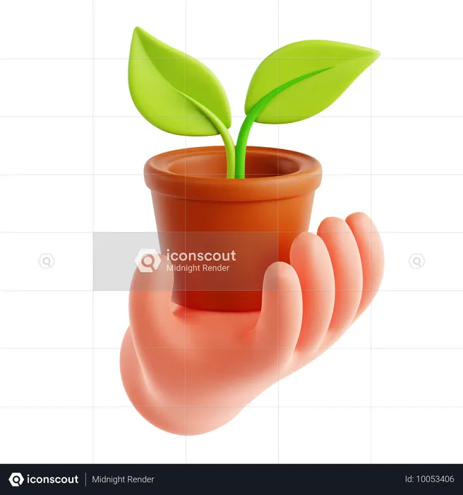 Planta ecológica disponível  3D Icon