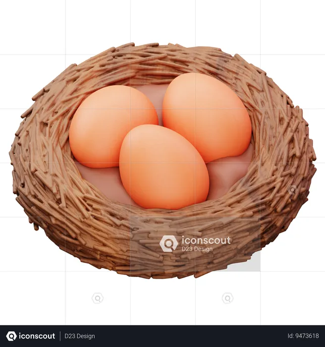 Eggs In The Nest  3D Icon