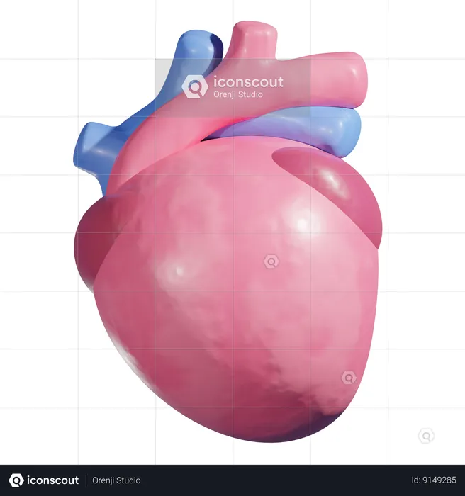 Cardiopatía  3D Icon