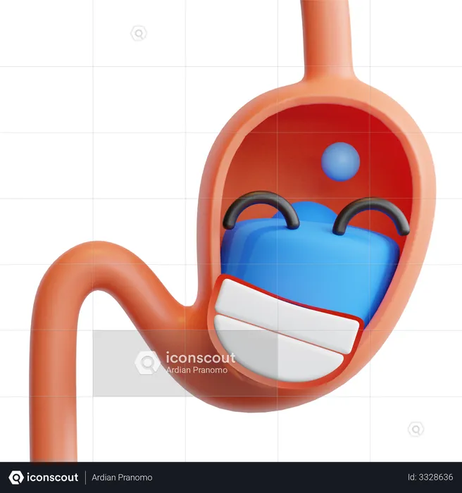 Estómago  3D Illustration