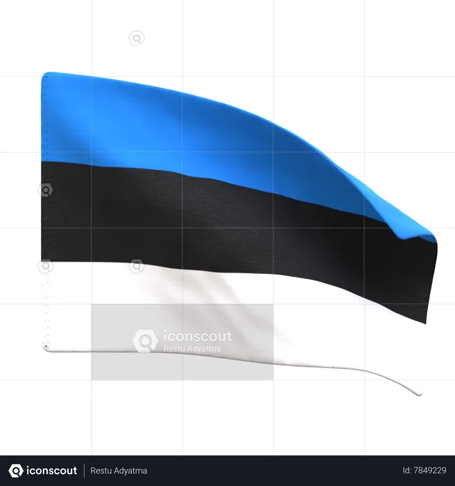 Estonia Flag Flag 3D Icon