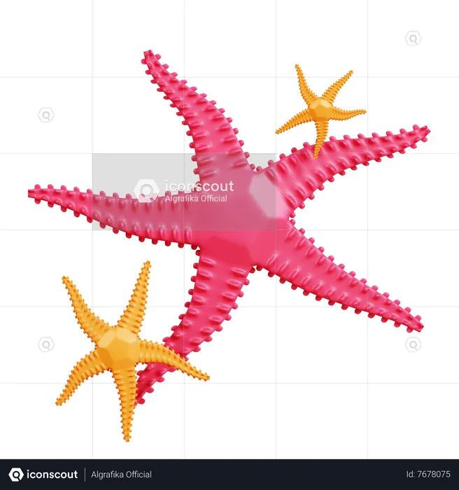 Estrella de mar  3D Icon