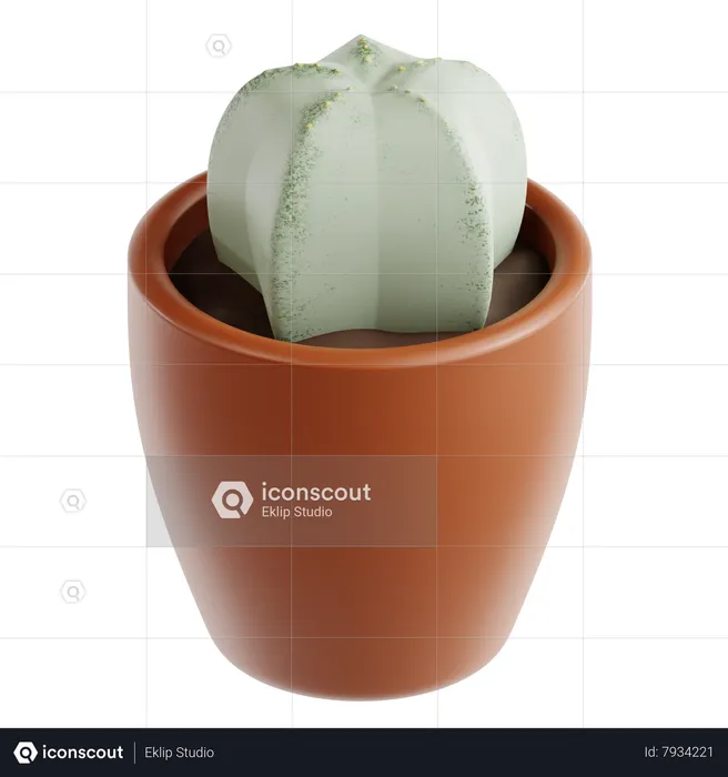 Cactus étoilé  3D Icon