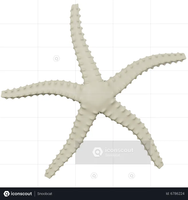 Étoile de mer  3D Icon