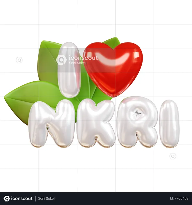 Eu amo a nkri  3D Icon