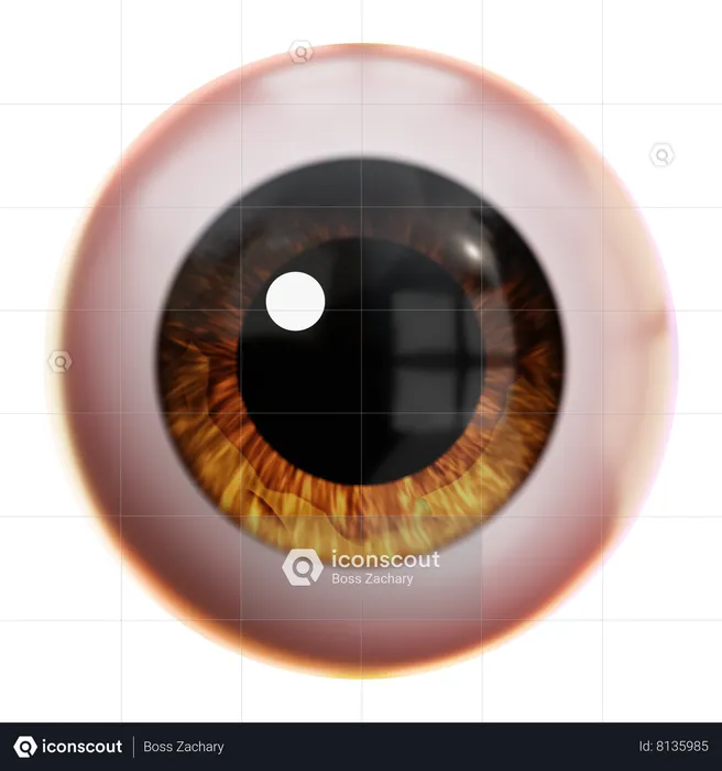 Eye Ball  3D Icon