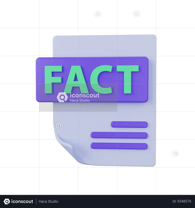 Fact File  3D Icon