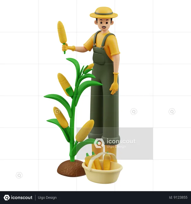 Farmer Is Harvesting Corn  3D Icon
